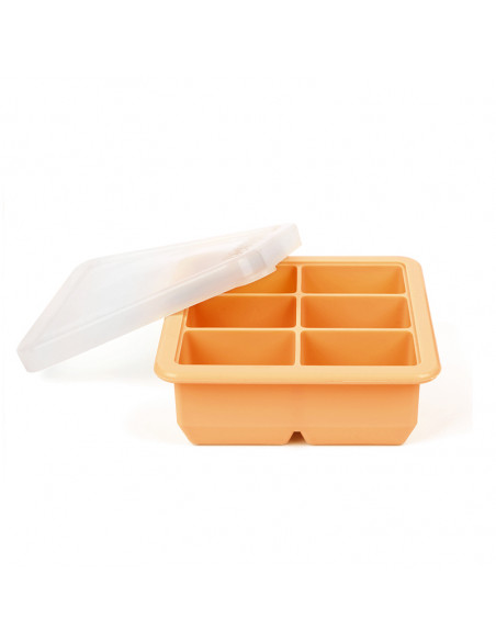 Baby Food and Breast Milk Freezer Tray - 6 Compartments