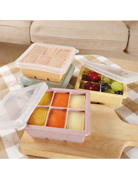 Baby Food and Breast Milk Freezer Tray - 6 Compartments
