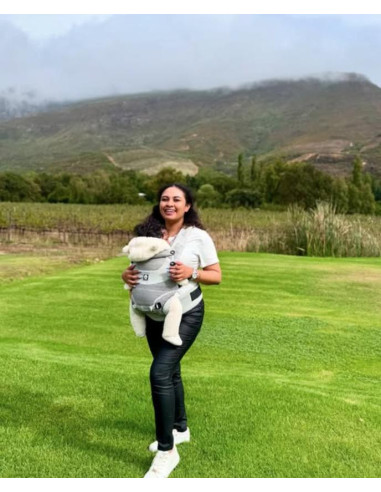 Babytrage Terra Nova Grau