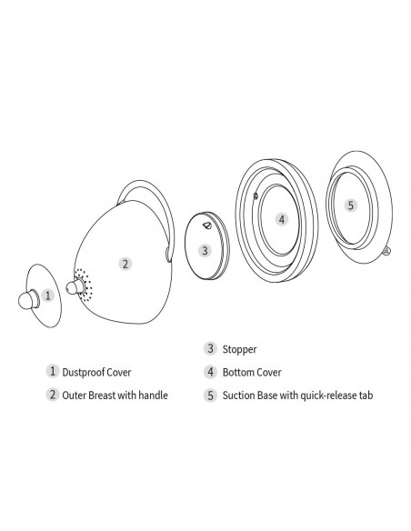 Milchspendende Demonstrationsbrust - Ivory