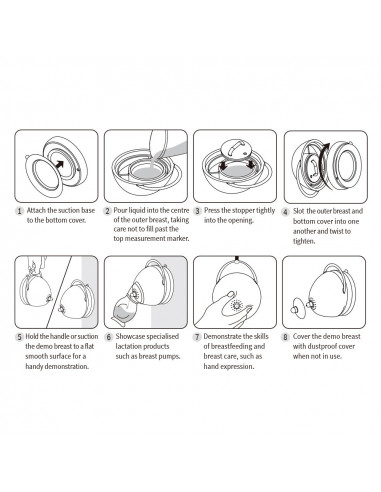 Milchspendende Demonstrationsbrust - Ivory
